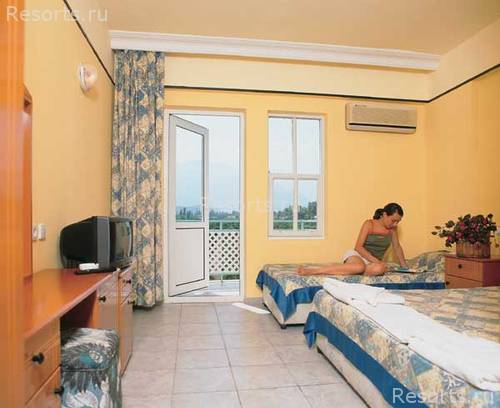 Le Palm 3